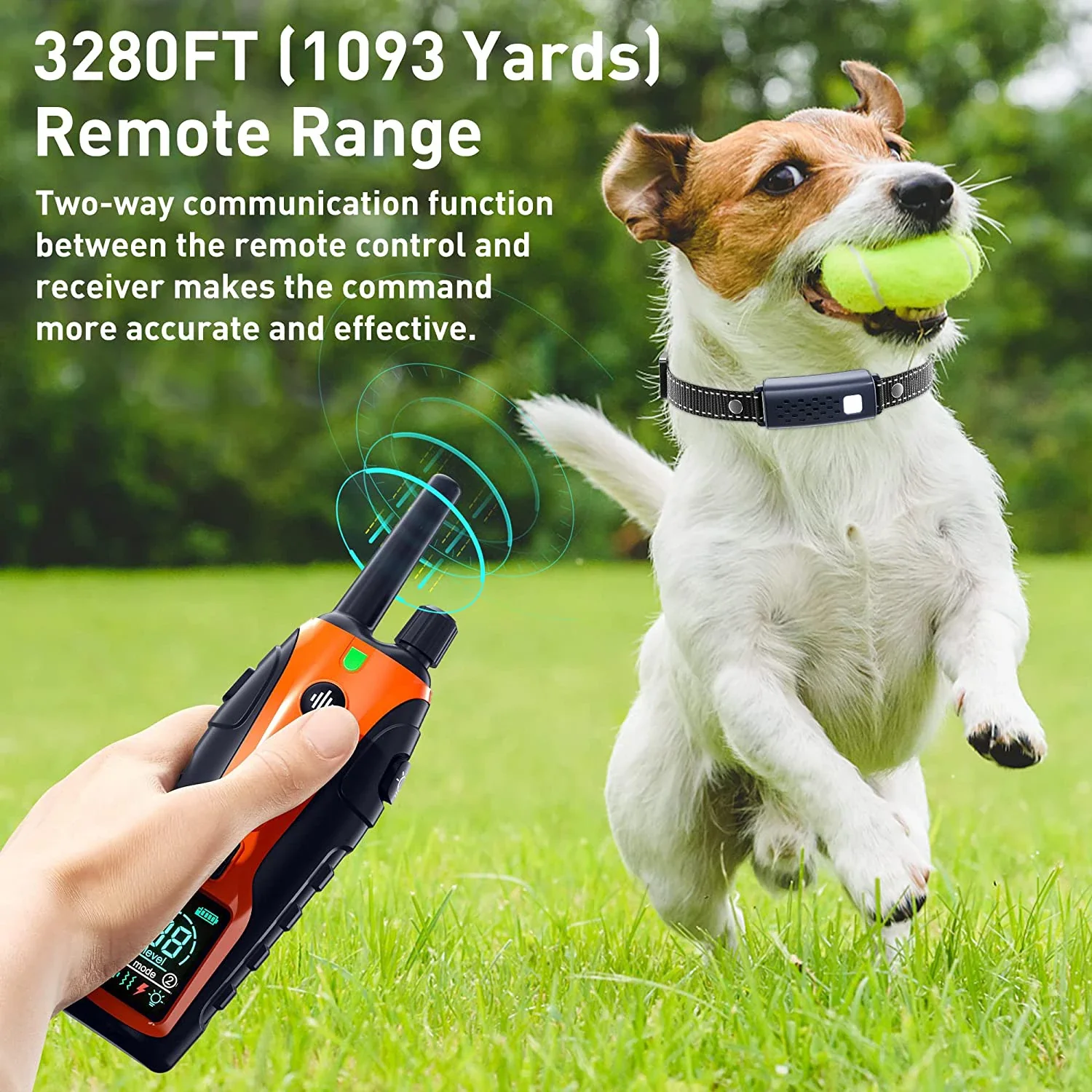1000m Electric Dog Training Collar with Remote Control - Image 4