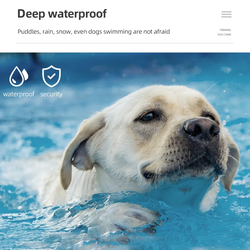 1000m Waterproof Dog Training Collar - Image 3