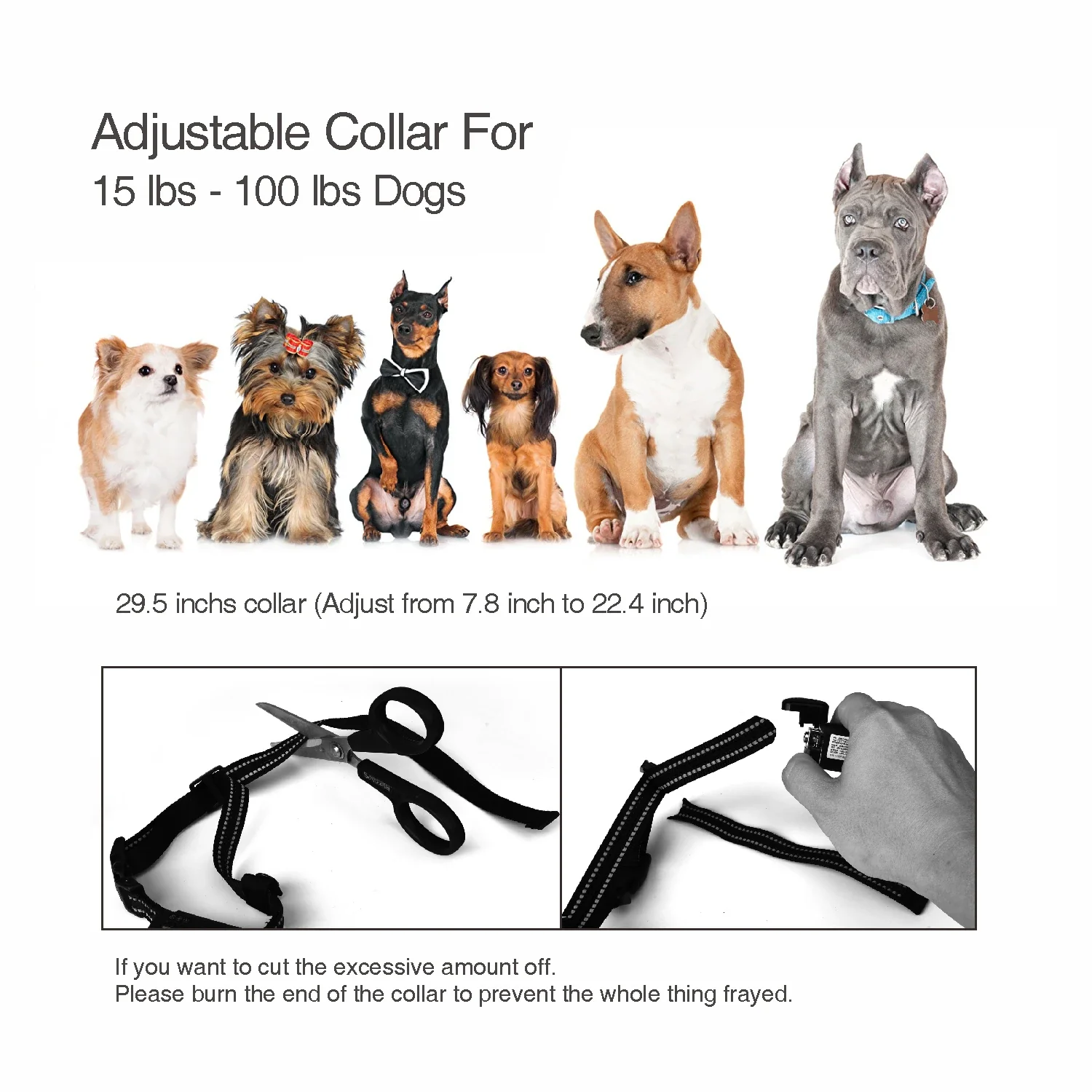 2-in-1 Dog Shock Collar  - Image 5