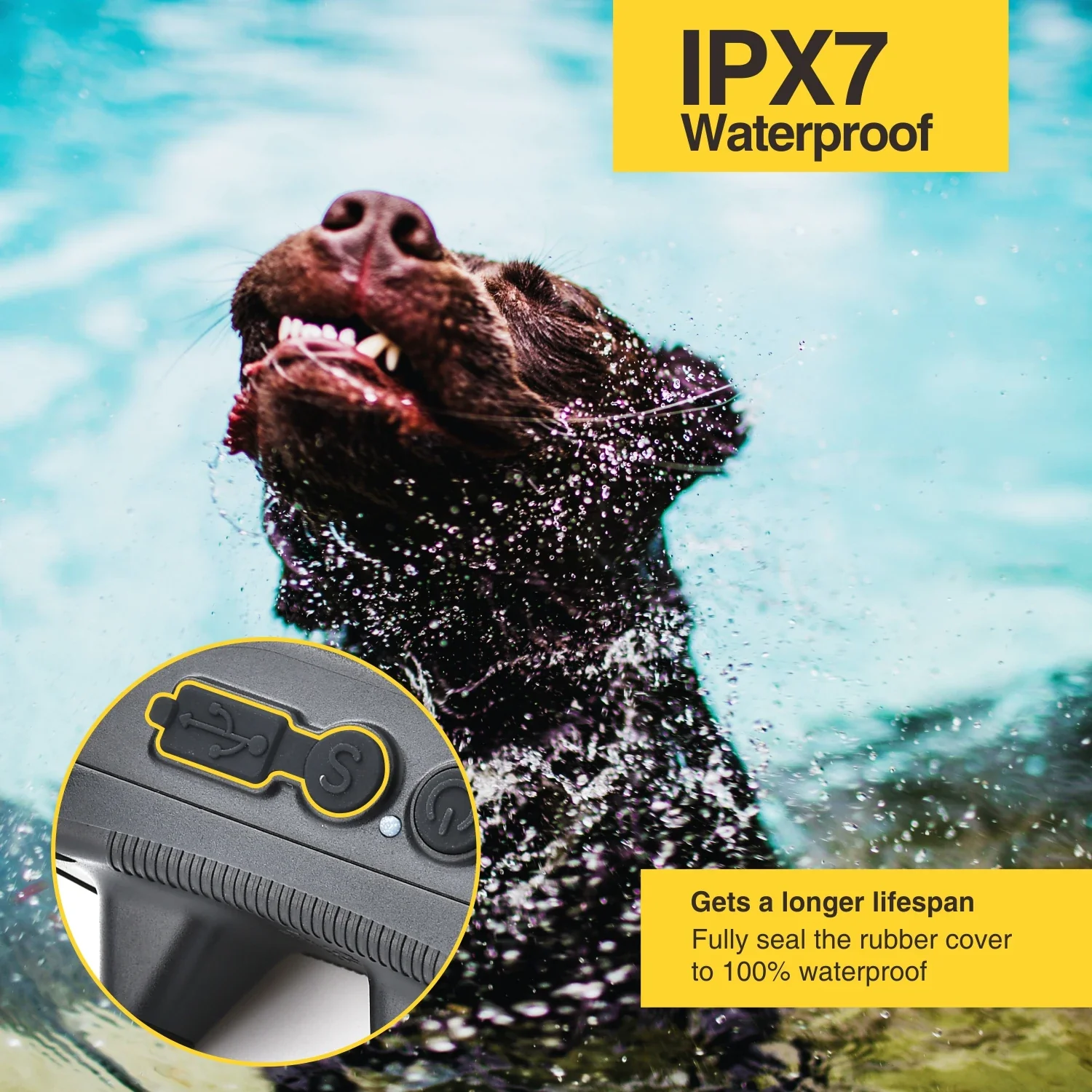 2-in-1 Dog Training and Anti-Bark Collar - Image 5