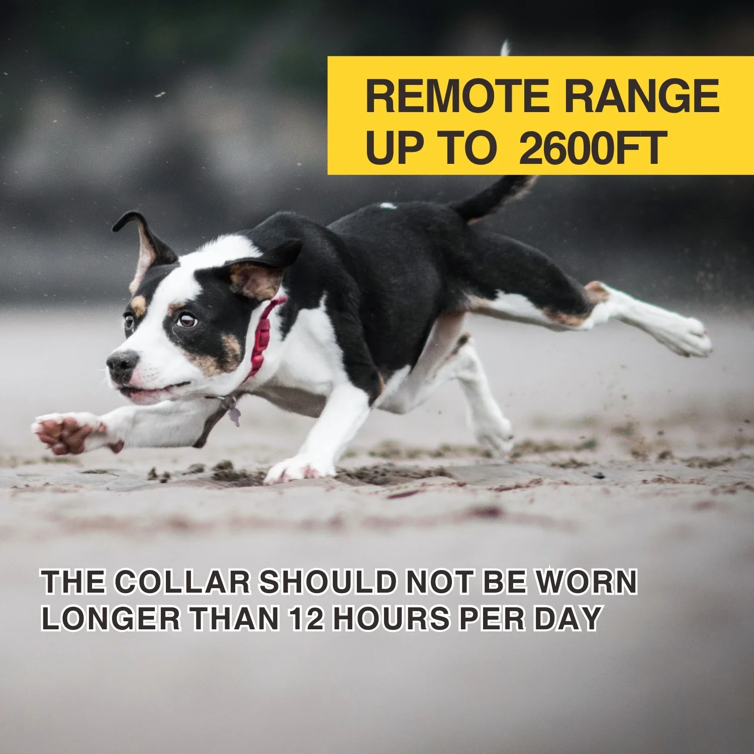 2-in-1 Dog Training and Anti-Bark Collar - Image 6