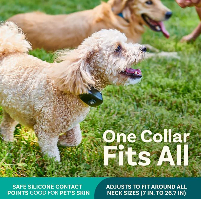 2-in-1 Electric Pet Wireless Fence and Dog Training Collar System - Image 4