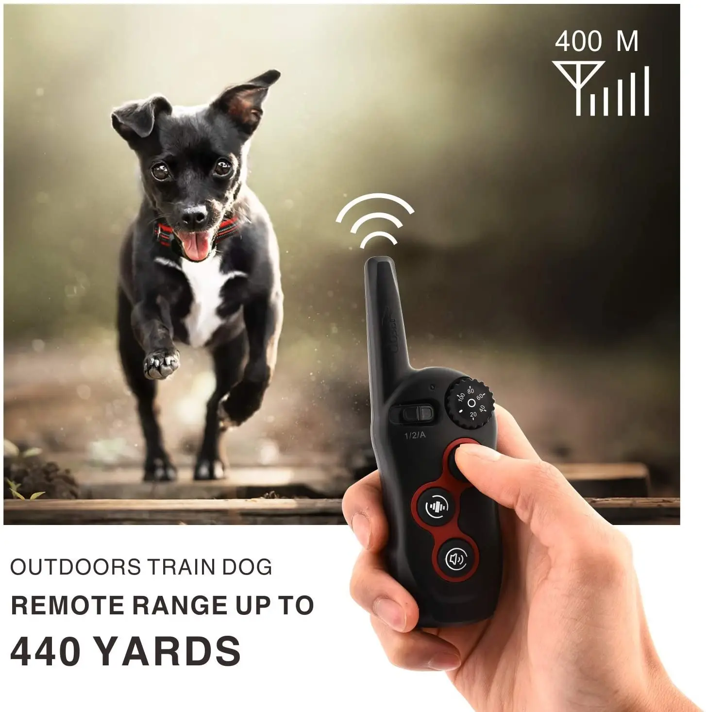 2-in-1 Pet Dog Training Collar with Automatic Anti-Bark Feature - Image 4