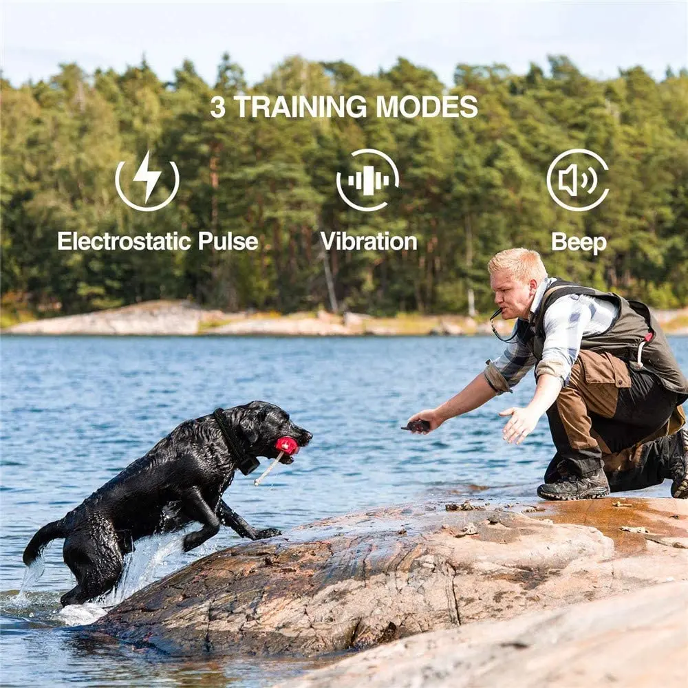 2-in-1 Pet Dog Training Collar with Automatic Anti-Bark Feature - Image 5