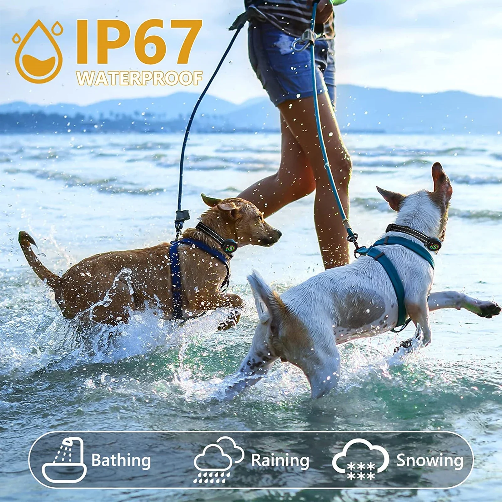 Advanced Waterproof Rechargeable Dog Training Collar with Colour Display - Image 2