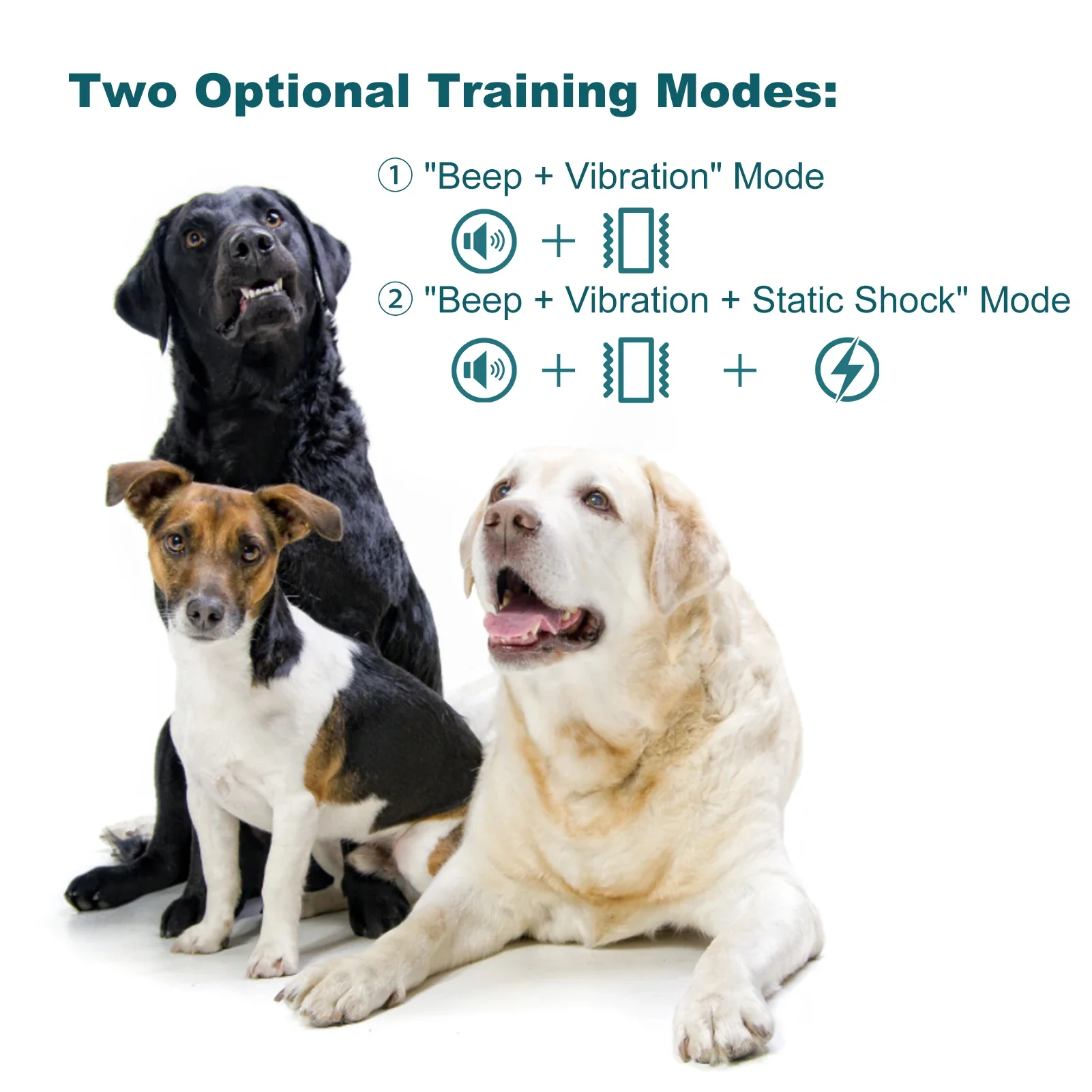 Advanced Waterproof Rechargeable Dog Training Collar with Colour Display - Image 3
