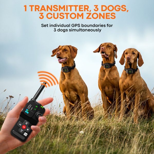 Astko F700 PLUS 3-in-1 Wireless GPS Dog Containment and Training System - Image 2