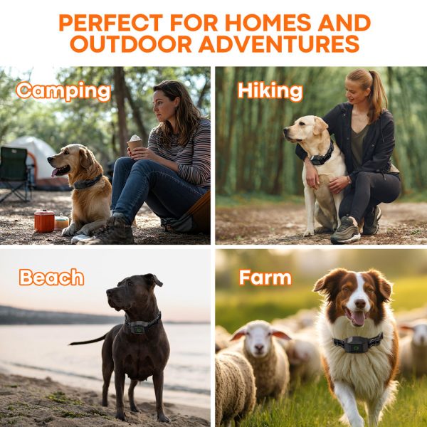 Astko F700 PLUS 3-in-1 Wireless GPS Dog Containment and Training System - Image 4