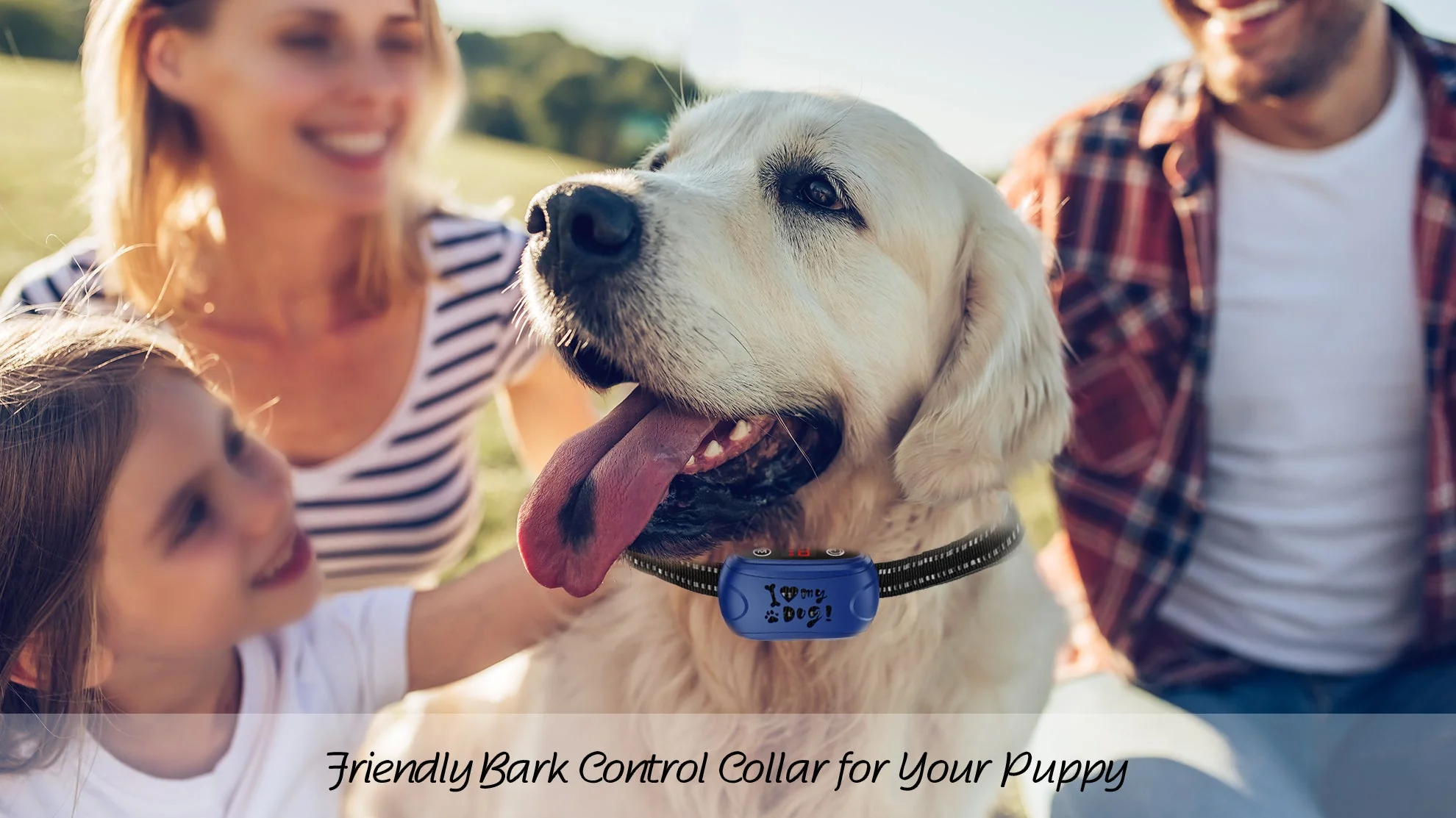 Astko B301 Bark Training Collar (NO SHOCK) - Image 6