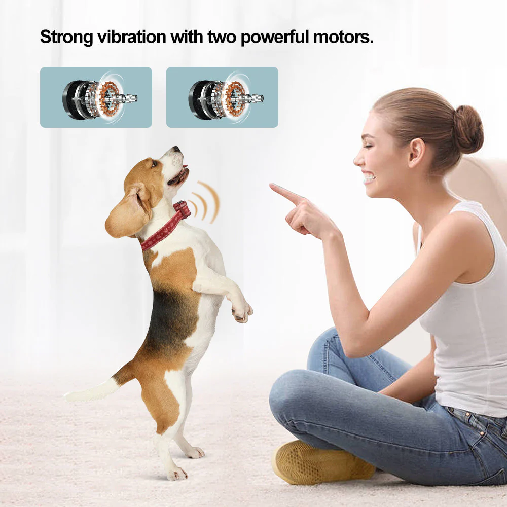 Astko B601 Bark Training Collar (NO SHOCK) - Image 2