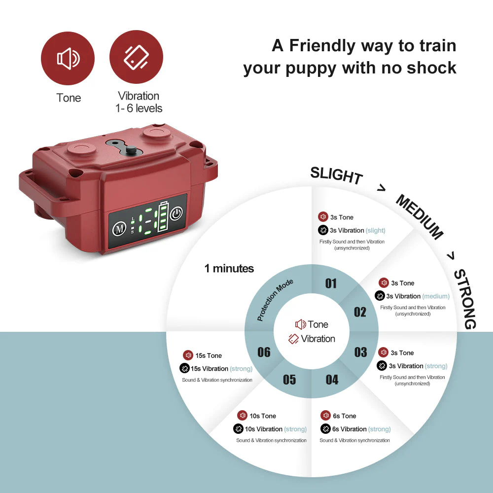 Astko B601 Bark Training Collar (NO SHOCK) - Image 3