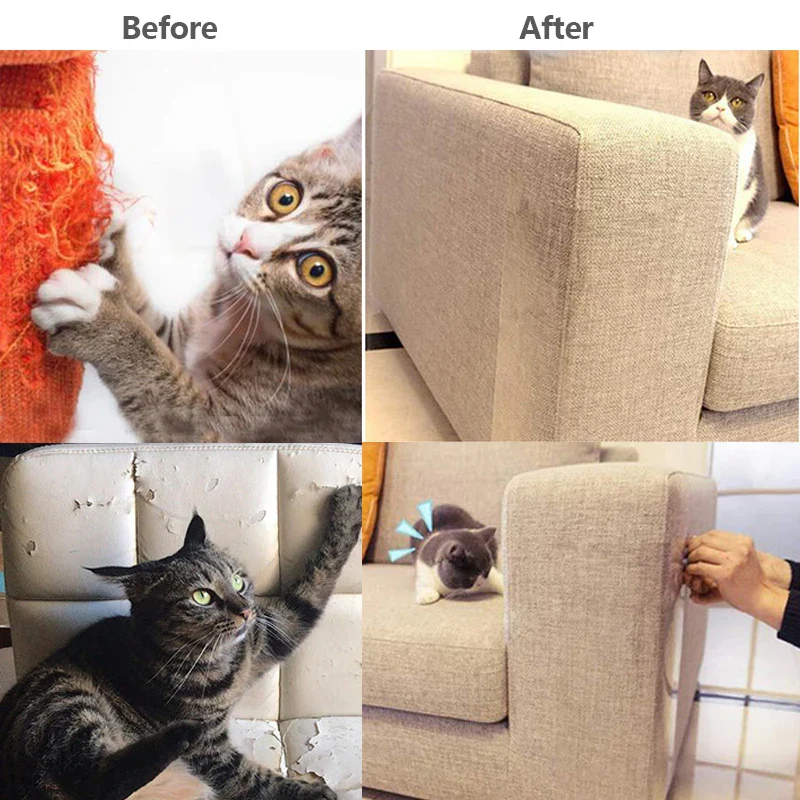 Cat Scratch Guards - Image 6
