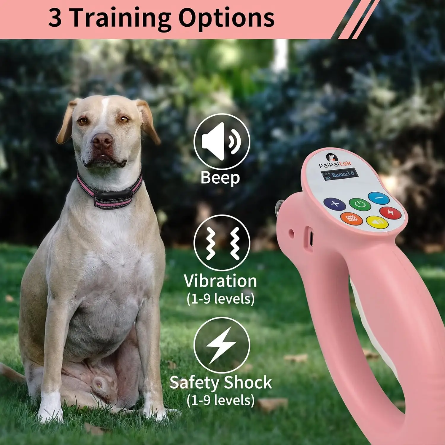 Dog Electric Training Collar With Smart Training Leash 1600ft - Image 3