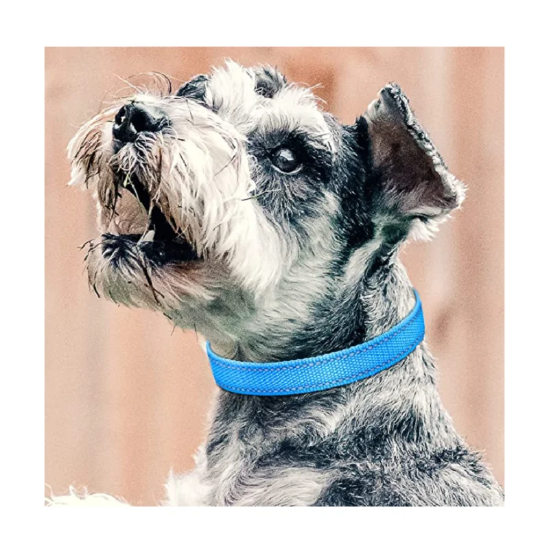 Dog Training Device Replacement Collar  - Image 6