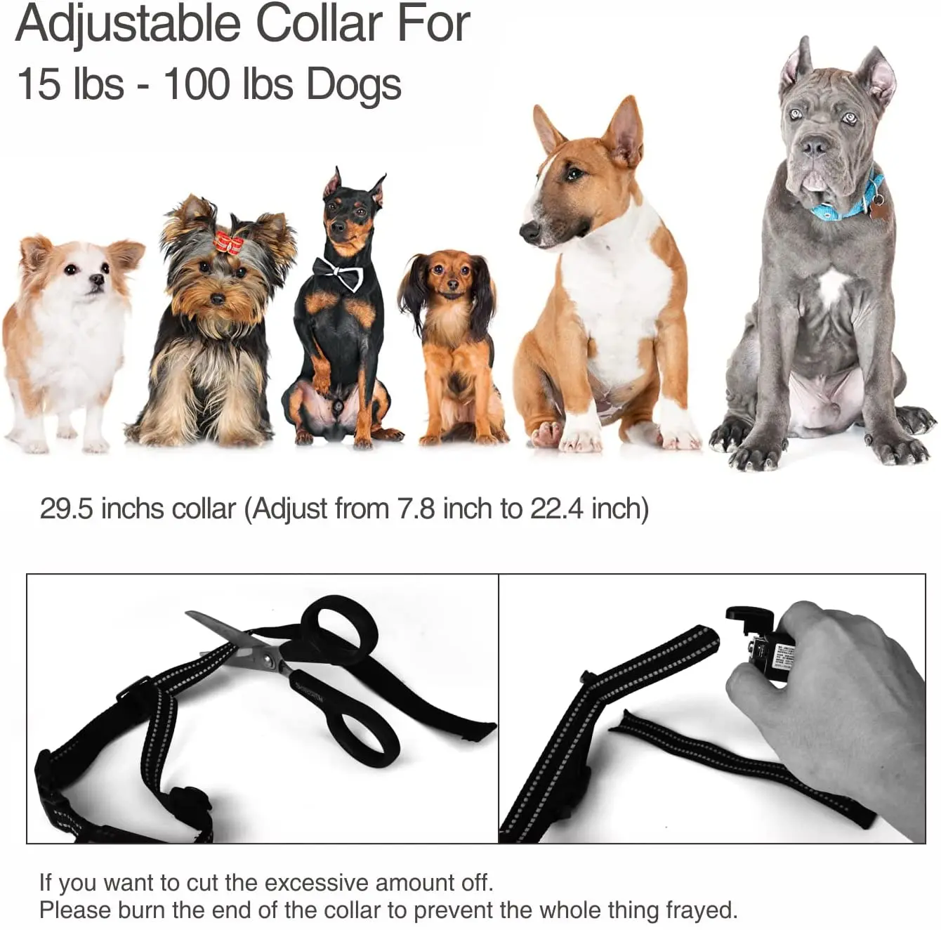 Dog Training Collar - Image 5