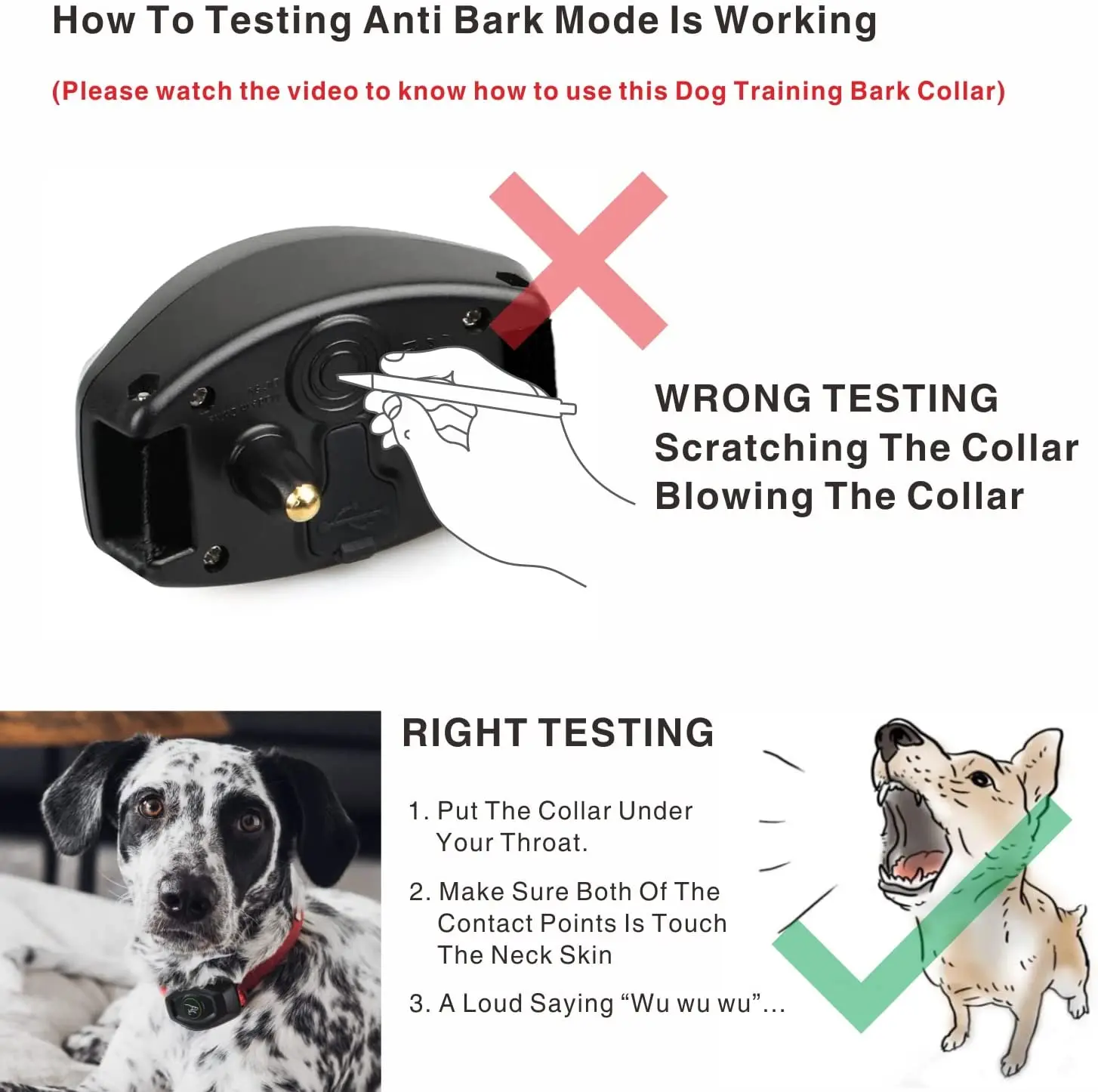 Dog Training Collar - Image 6