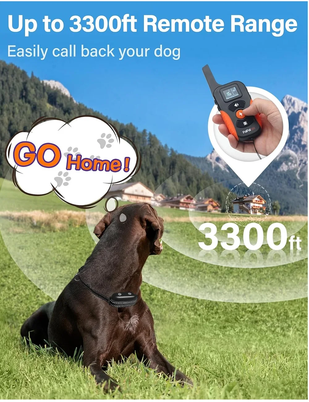 Dog Training Collar with Remote (2-in-1 Bark Collar & Training Collar) - Image 5