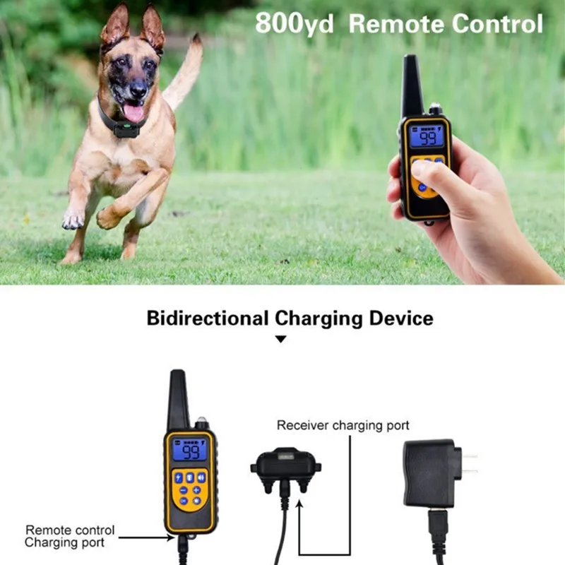 Dog Training Collar (with Remote Control Option) - Image 5