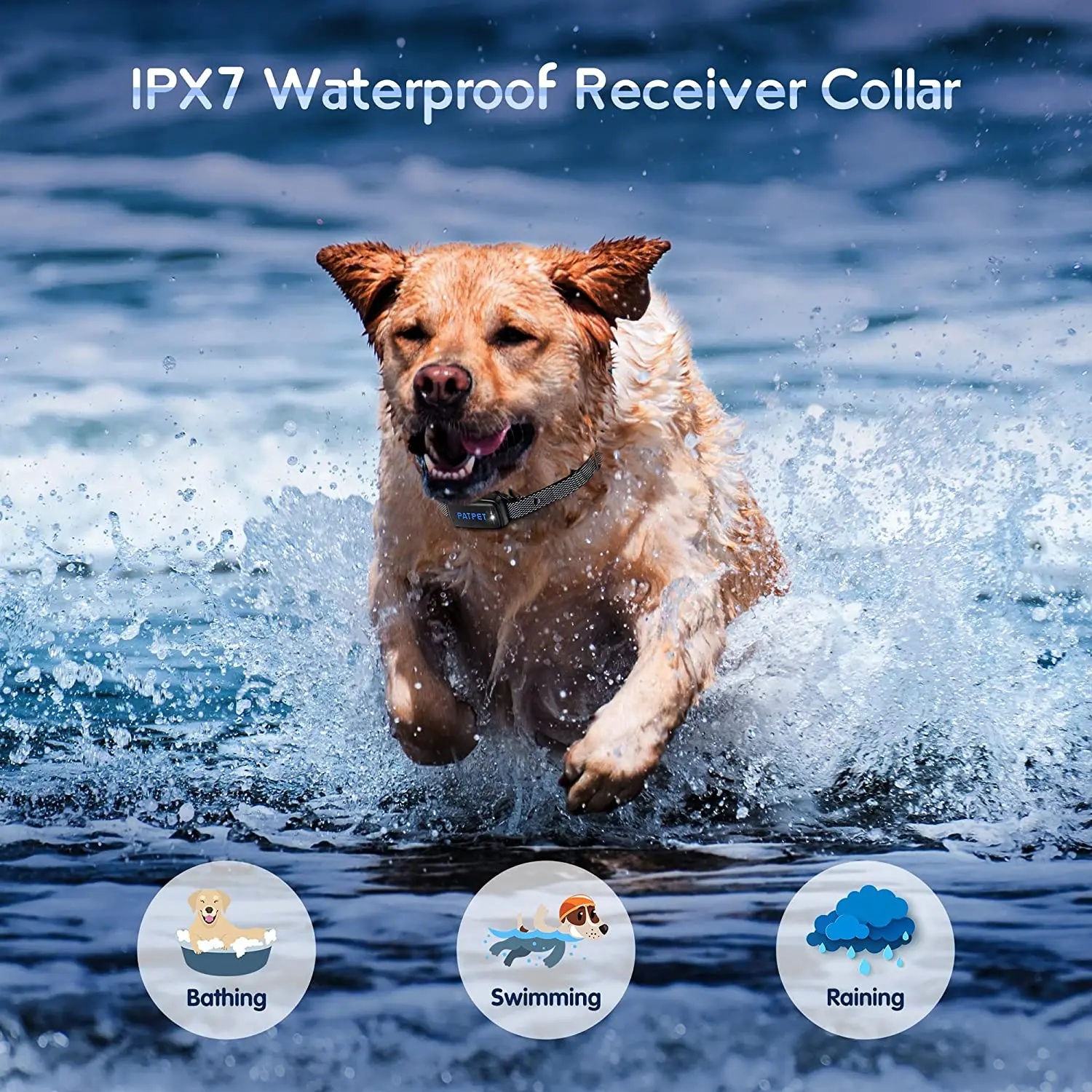 E-collar Dog Training System with LCD Remote - Image 3
