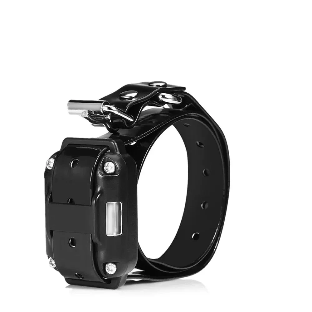 Electric Dog Training Collar for Up to 3 Dogs - Image 11