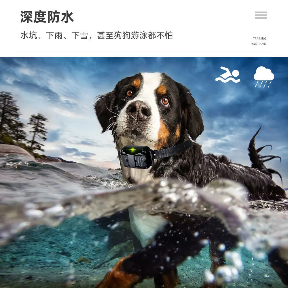 Electric Dog Training Device - Image 5