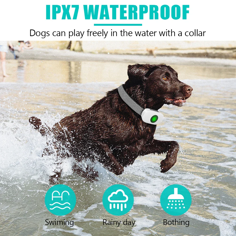 Electric Training Collar Rechargeable Anti Bark Dog Collar with Remote - Image 6