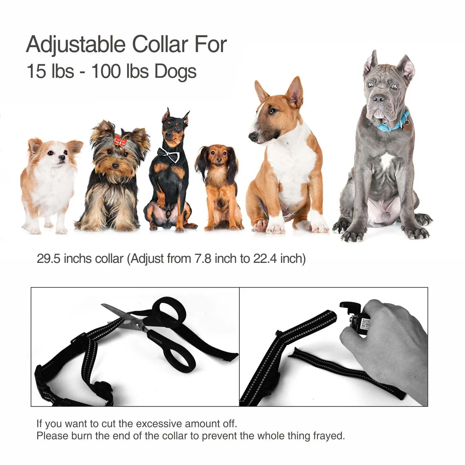 Electric Training Dog Collar (400 meters) - Image 6