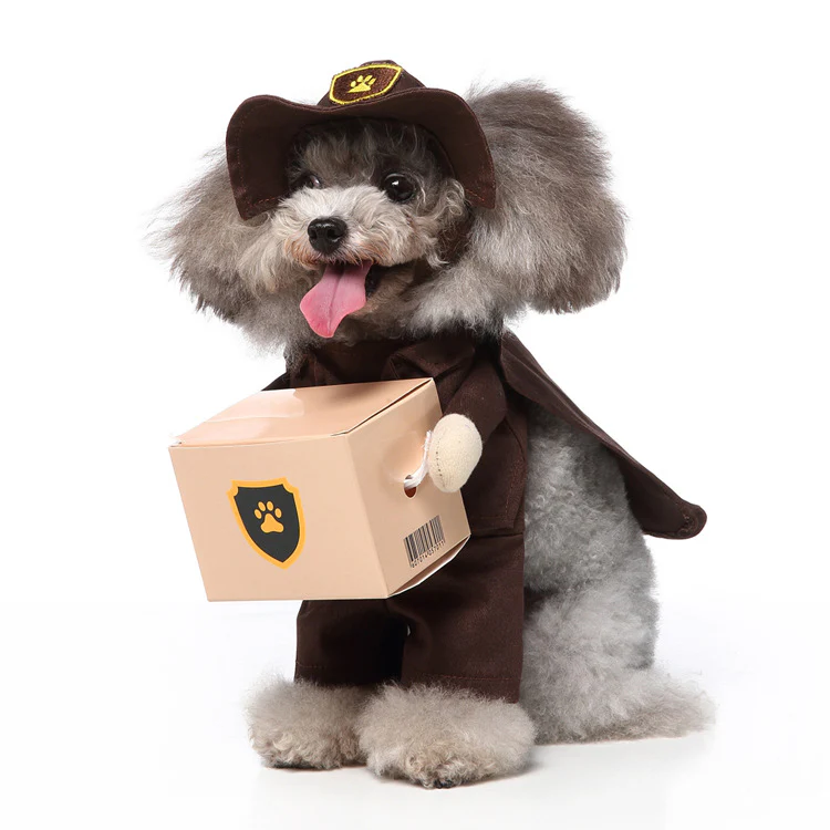 Pet Products Clothing - Image 10