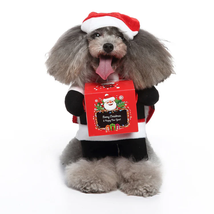 Pet Products Clothing - Image 12