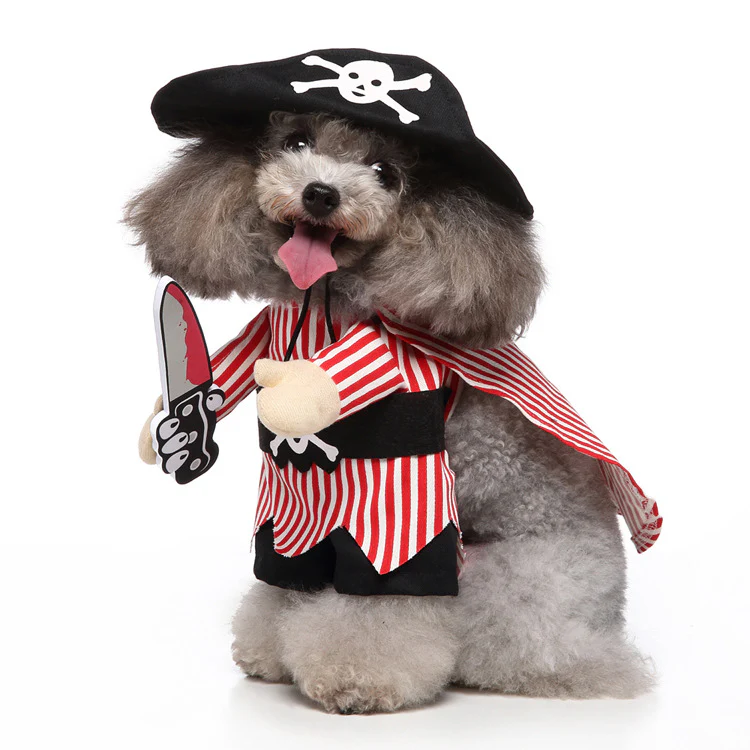 Pet Products Clothing - Image 2