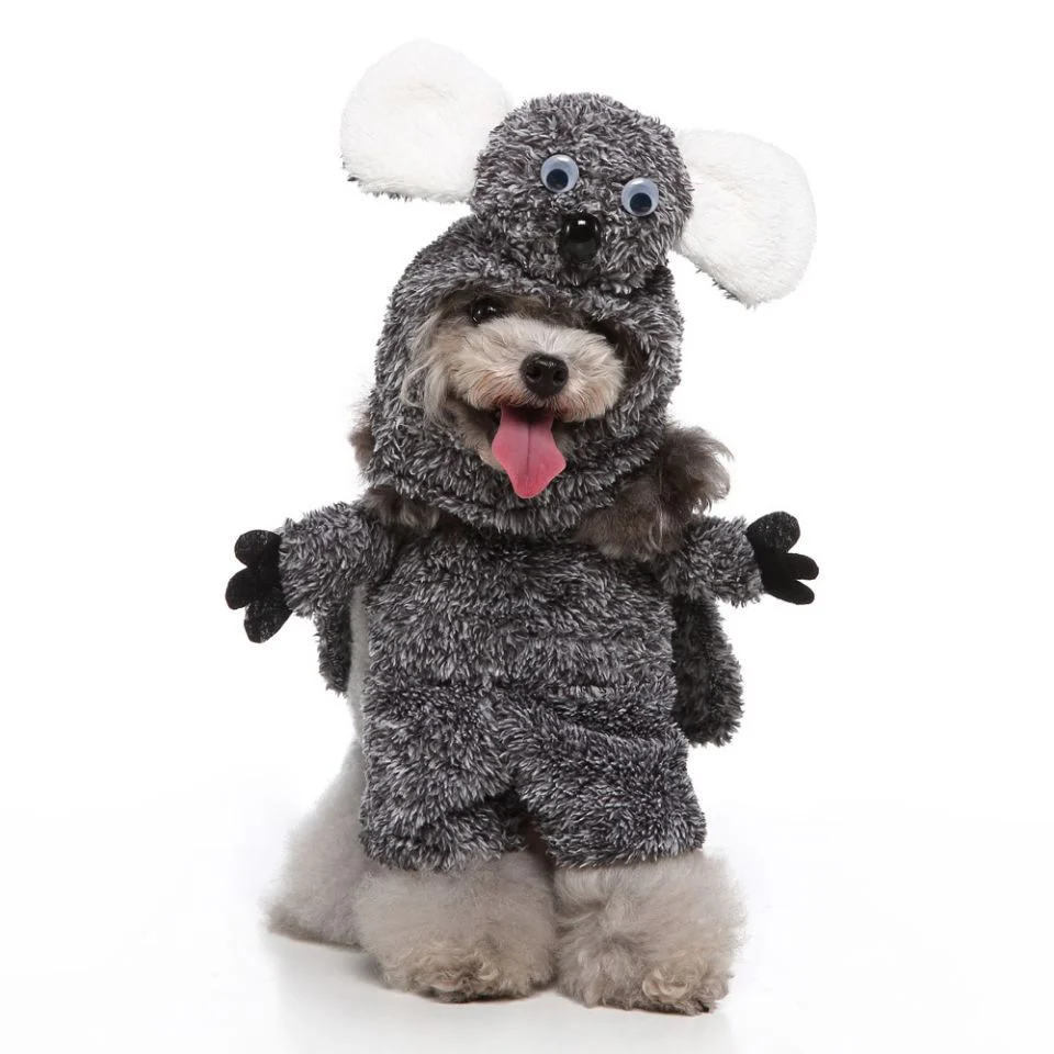 Pet Products Clothing - Image 3