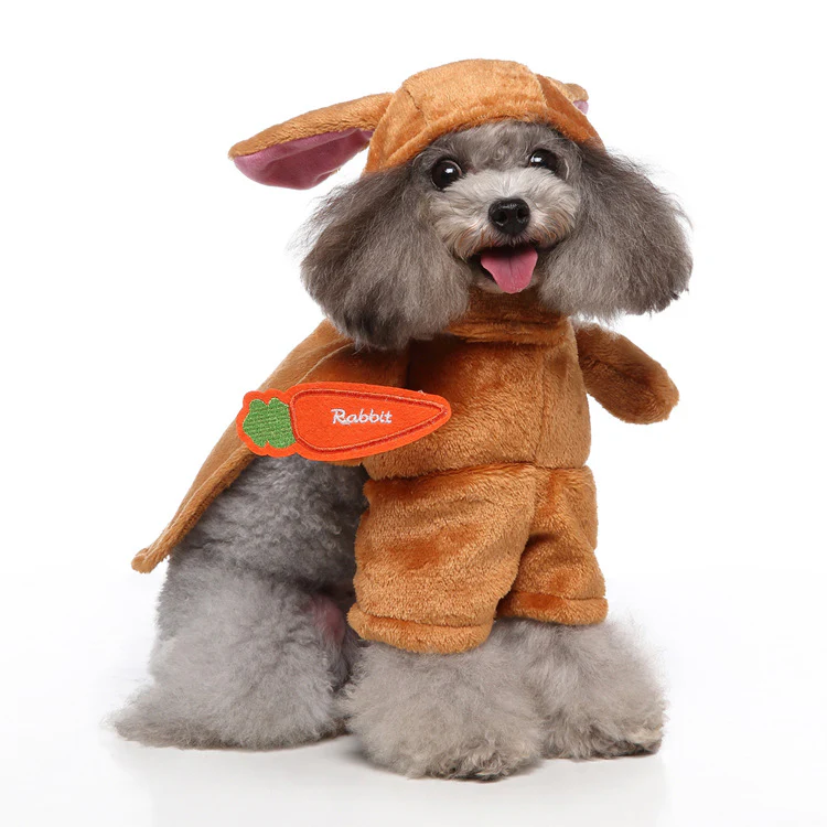 Pet Products Clothing - Image 4
