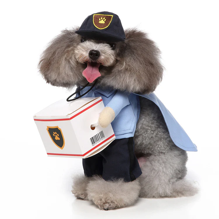 Pet Products Clothing - Image 9