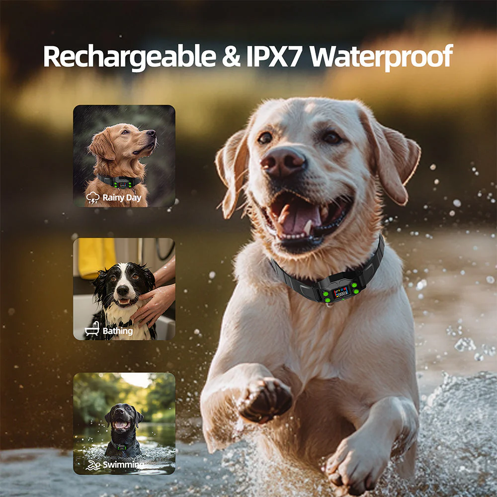 F830 Plus GPS Wireless Dog Fence - Image 12