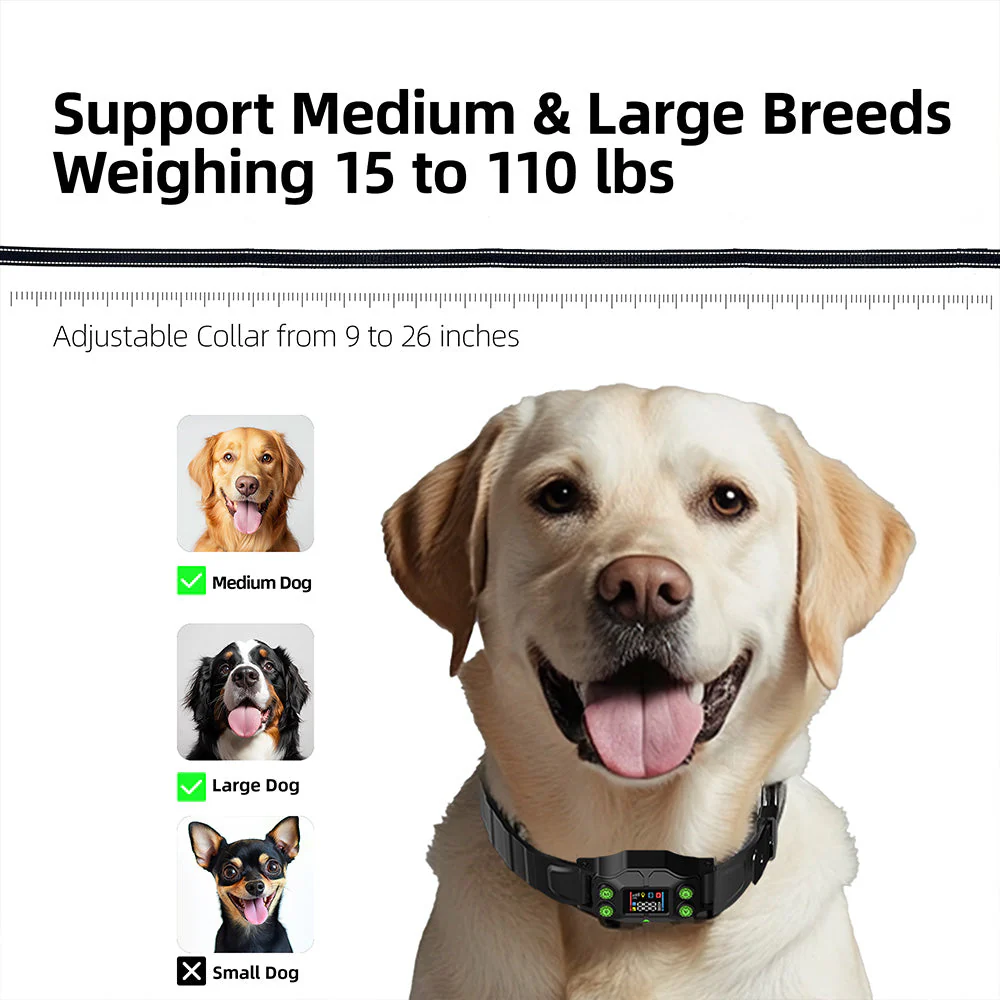 F830 Plus GPS Wireless Dog Fence - Image 6