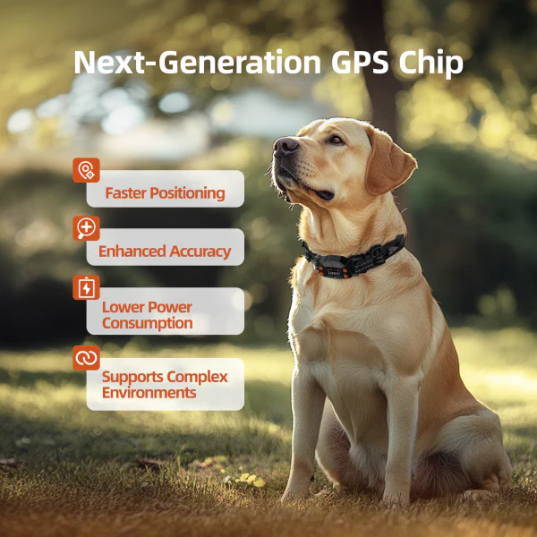 F830 GPS Wireless Dog Fence - Image 4