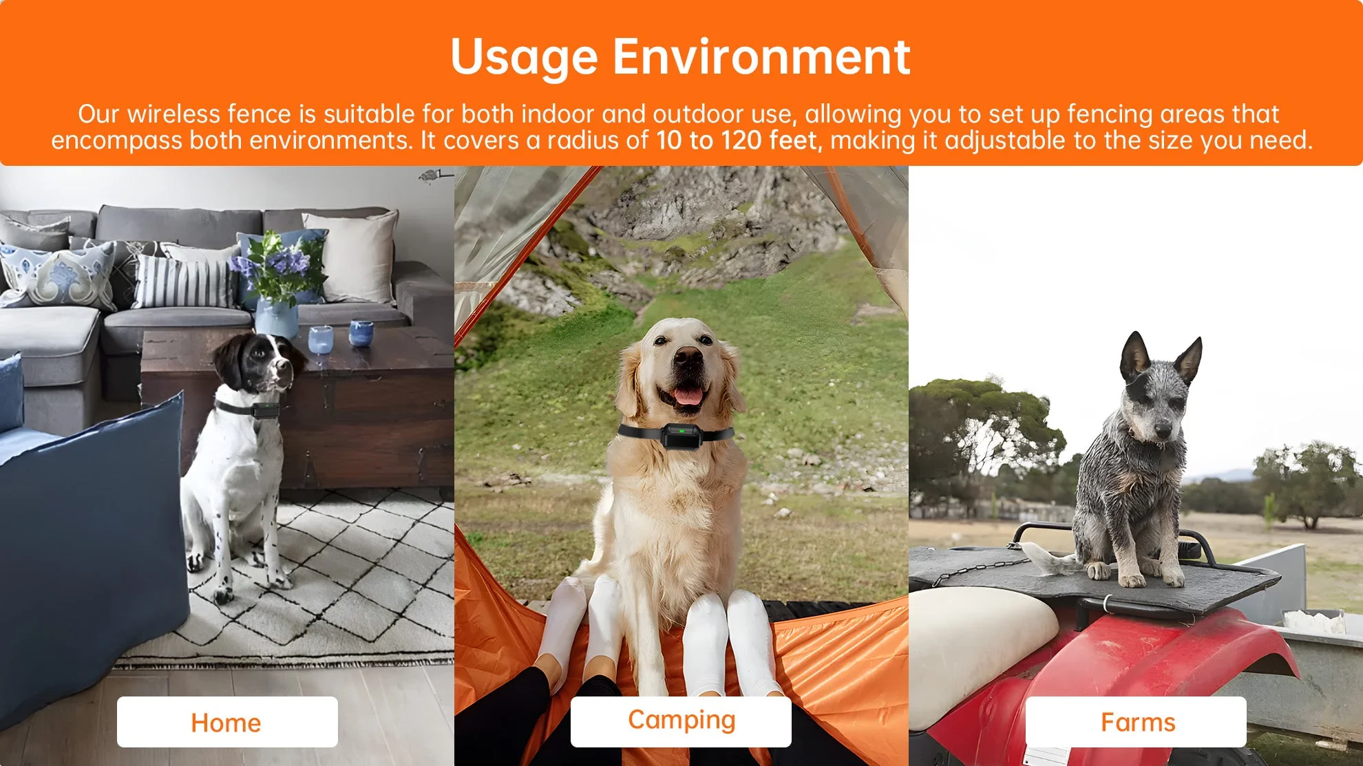 F900 Plus Wireless Dog Fence - Image 6