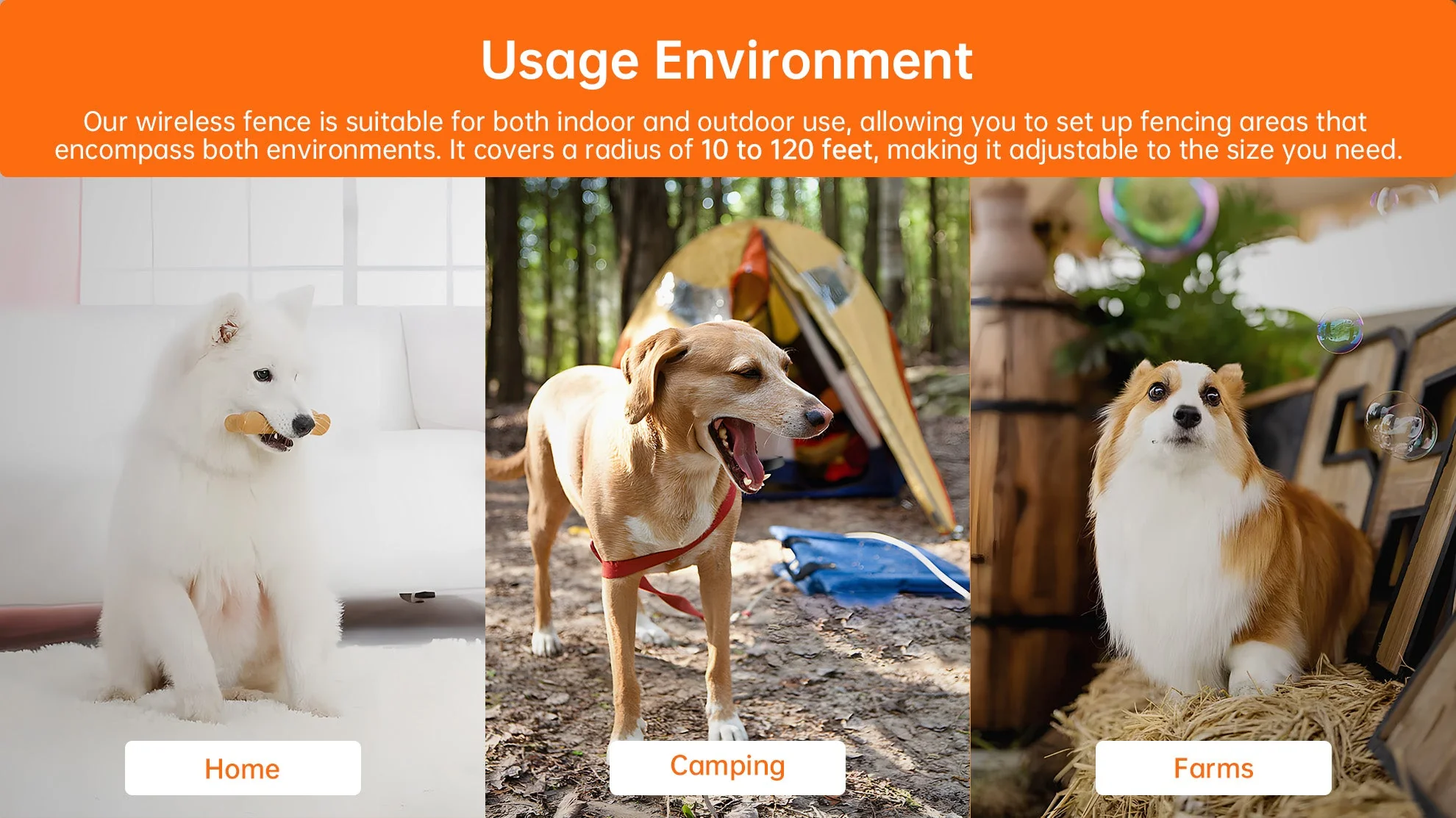 F900 Wireless Dog Fence - Image 7