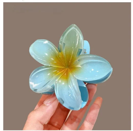 Hawaiian Gradient Hair Claw Clip - Image 9