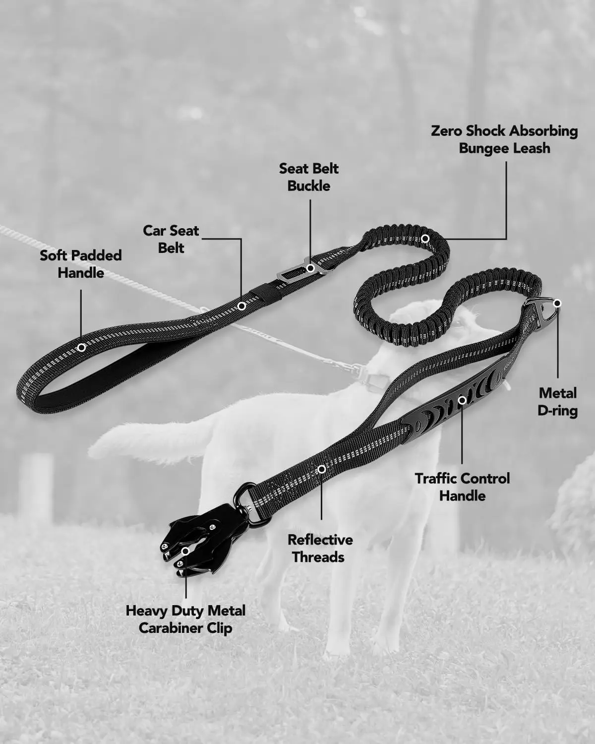 Heavy Duty Dog Leash with Elastic Bungee for Medium & Large Dogs - Image 3