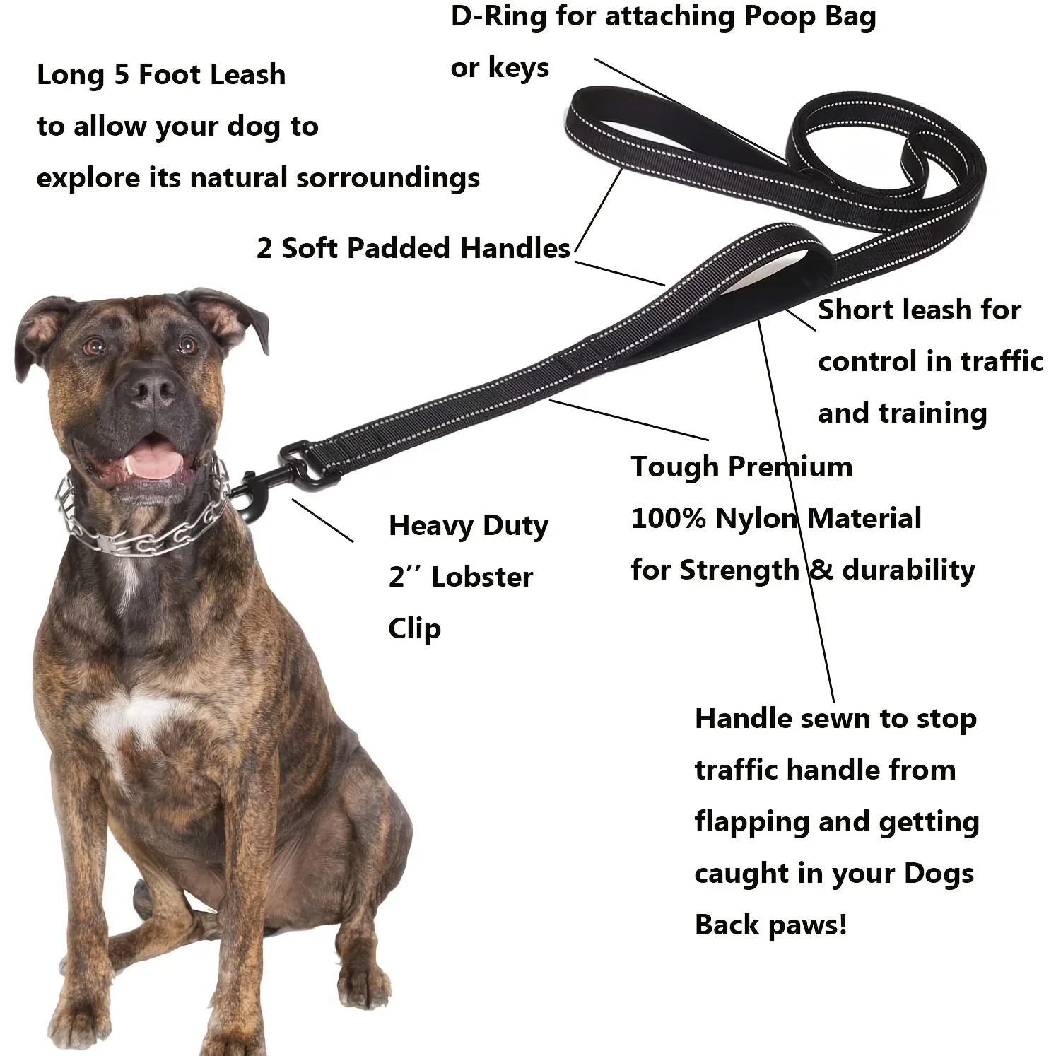 Heavy-Duty Double-Handle Nylon Dog Leash for Training and Control - Image 4