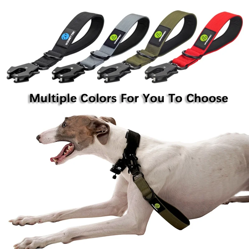 Nylon Military Style Short Leash with Metal Buckle - Image 3