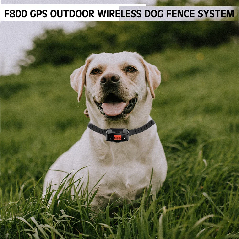 F800 Outdoor GPS Wireless Electronic Dog Fence System and Training Collar - Image 4