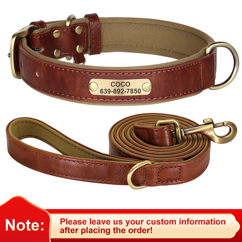 Personalised Dog ID Collar and Leash Set - Image 10