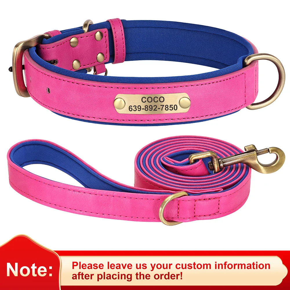 Personalised Dog ID Collar and Leash Set - Image 12