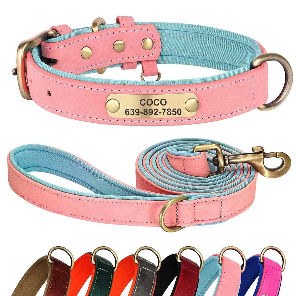 Personalised Dog ID Collar and Leash Set - Image 2