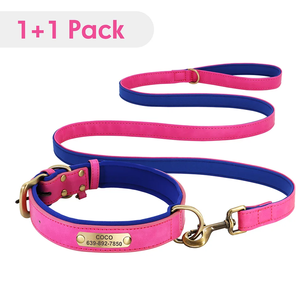 Personalised Dog ID Collar and Leash Set - Image 3