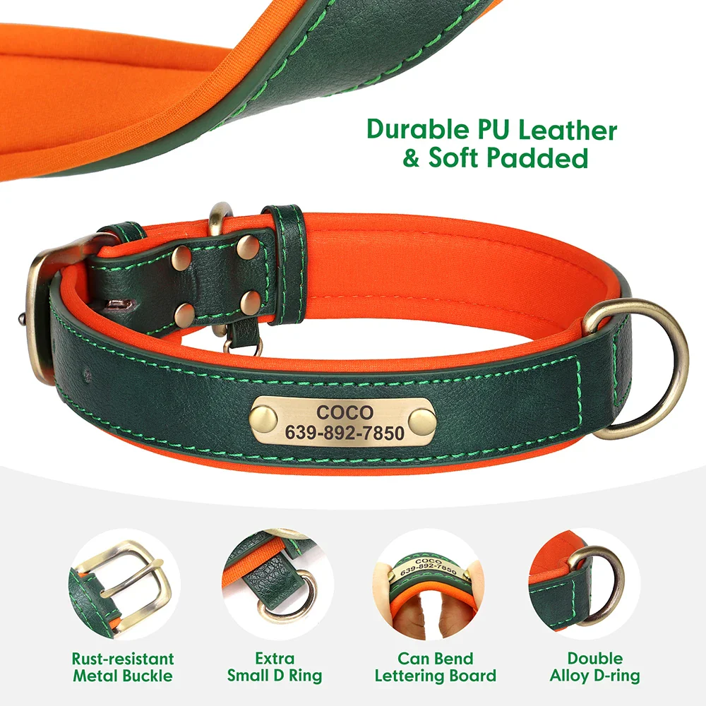 Personalised Dog ID Collar and Leash Set - Image 4