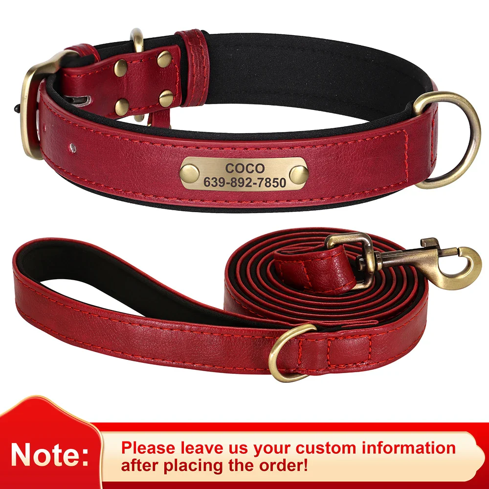 Personalised Dog ID Collar and Leash Set - Image 7