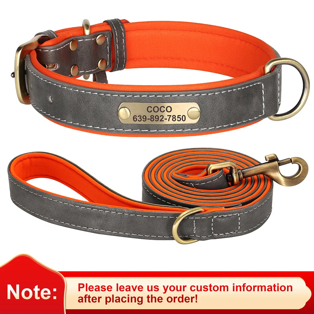 Personalised Dog ID Collar and Leash Set - Image 8